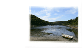 View of Solva